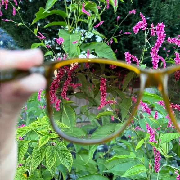 Gucci Brown Gradient Lens Sunglasses with Blue Case - Picture 9 of 14